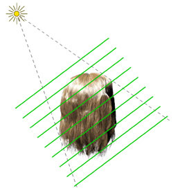 Layers of Opacity Shadow Maps