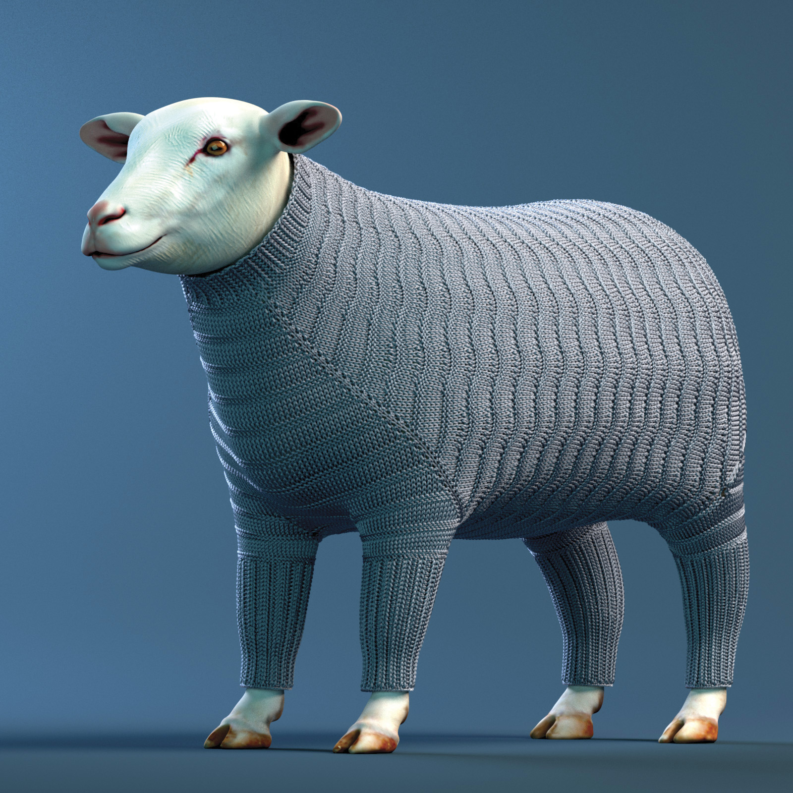 sheep.jpg